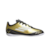 Dourado